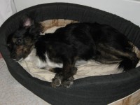 /album/associane-amici-miei/jessica-082-jpg/